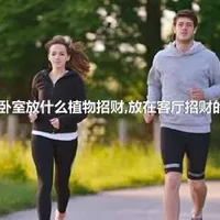 主人卧室放什么植物招财,放在客厅招财的植物