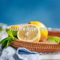 2022秋冬流行色：霜灰色