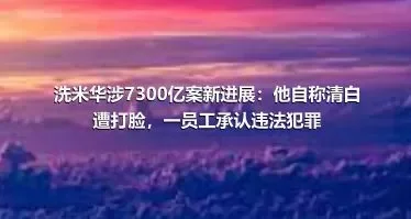 洗米华涉7300亿案新进展：他自称清白遭打脸，一员工承认违法犯罪