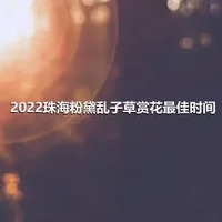 2022珠海粉黛乱子草赏花最佳时间