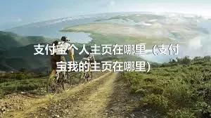 支付宝个人主页在哪里（支付宝我的主页在哪里）