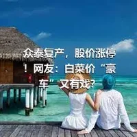 众泰复产，股价涨停！网友：白菜价“豪车”又有戏？