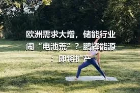 欧洲需求大增，储能行业闹“电池荒”？鹏辉能源：即将扩产