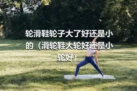 轮滑鞋轮子大了好还是小的（滑轮鞋大轮好还是小轮好）