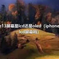 iPhone13屏幕是lcd还是oled（iphone11都是lcd屏幕吗）