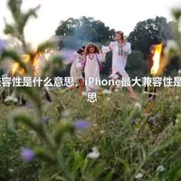 最大兼容性是什么意思，iPhone最大兼容性是什么意思