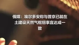 俄媒：埃尔多安称与普京已就在土建设天然气枢纽事宜达成一致