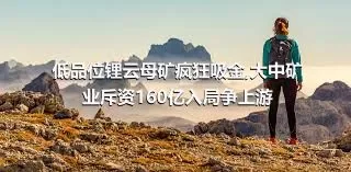 低品位锂云母矿疯狂吸金,大中矿业斥资160亿入局争上游