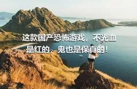 这款国产恐怖游戏，不光血是红的，鬼也是保真的！