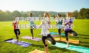 摩尔庄园罗汉鱼怎么钓,摩尔庄园罗汉鱼出现时间地点介绍