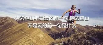 除去巫山不是云的前一句,除去巫山不是云的前一句是什么