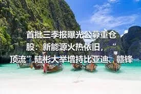 首批三季报曝光公募重仓股：新能源火热依旧，“顶流”陆彬大举增持比亚迪、赣锋锂业