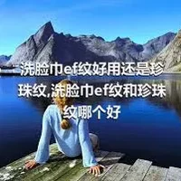 洗脸巾ef纹好用还是珍珠纹,洗脸巾ef纹和珍珠纹哪个好