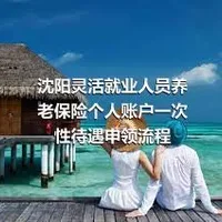 沈阳灵活就业人员养老保险个人账户一次性待遇申领流程