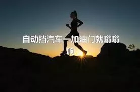 自动挡汽车一加油门就嗡嗡响