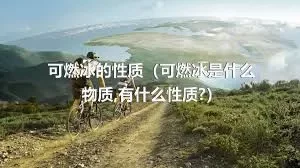 可燃冰的性质（可燃冰是什么物质,有什么性质?）