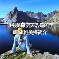 旗袍美探贾天浩是凶手吗,旗袍美探简介