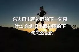 东边日出西边雨的下一句是什么,东边日出西边雨的下一句怎么说的