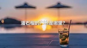 潘石榴的产地是哪里？