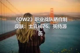 《OW2》职业战队晒自制皮肤：士官长76、死侍源氏