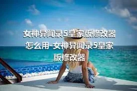 女神异闻录5皇家版修改器怎么用-女神异闻录5皇家版修改器