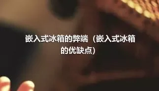 嵌入式冰箱的弊端（嵌入式冰箱的优缺点）