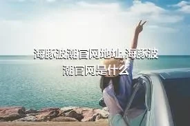 海豚波潮官网地址,海豚波潮官网是什么