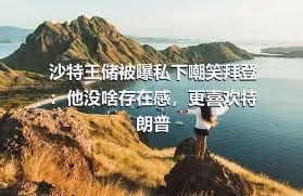 沙特王储被曝私下嘲笑拜登：他没啥存在感，更喜欢特朗普