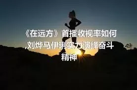 《在远方》首播收视率如何,刘烨马伊琍实力演绎奋斗精神