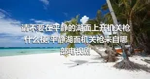 请不要在平静的湖面上开机关枪什么梗,平静湖面机关枪来自哪部电视剧