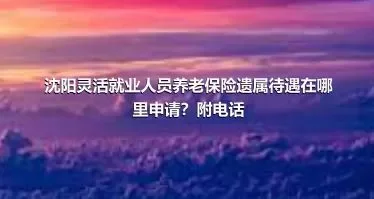 沈阳灵活就业人员养老保险遗属待遇在哪里申请？附电话