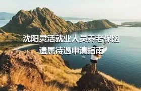 沈阳灵活就业人员养老保险遗属待遇申请指南