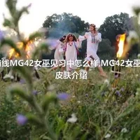 少女前线MG42女巫见习中怎么样,MG42女巫见习中皮肤介绍