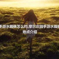 摩尔庄园手游水蜘蛛怎么钓,摩尔庄园手游水蜘蛛出现时间地点介绍