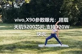 vivo,X90参数曝光：搭载天玑9200芯片,支持120W快充
