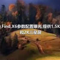 OPPO,Find,X6参数配置曝光,提供1.5K国产屏和2K三星屏