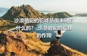 沙漠骆驼的驼峰是用来储存什么的？,沙漠骆驼的驼峰的作用