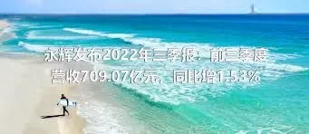 永辉发布2022年三季报：前三季度营收709.07亿元，同比增1.53%