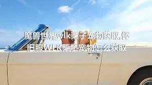 魔兽世界wlk栗子宠物获取,怀旧服WLK栗子宠物怎么获取