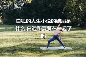 白狐的人生小说的结局是什么,白逍和夏葵在一起了吗