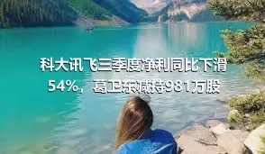 科大讯飞三季度净利同比下滑54%，葛卫东减持981万股