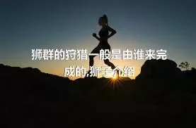 狮群的狩猎一般是由谁来完成的,狮子介绍