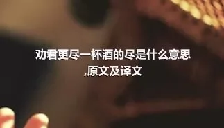 劝君更尽一杯酒的尽是什么意思,原文及译文