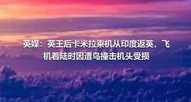 英媒：英王后卡米拉乘机从印度返英，飞机着陆时因遭鸟撞击机头受损