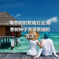 椰枣树的繁殖方法,椰枣树种子育苗繁殖的方法