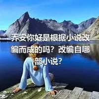 乔安你好是根据小说改编而成的吗？改编自哪部小说？