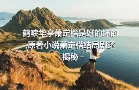 鹤唳华亭萧定楷是好的坏的,原著小说萧定楷结局剧透揭秘