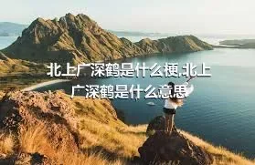 北上广深鹤是什么梗,北上广深鹤是什么意思