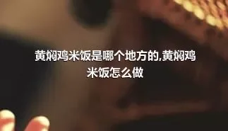 黄焖鸡米饭是哪个地方的,黄焖鸡米饭怎么做