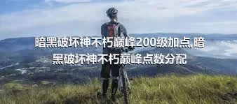 暗黑破坏神不朽巅峰200级加点,暗黑破坏神不朽巅峰点数分配